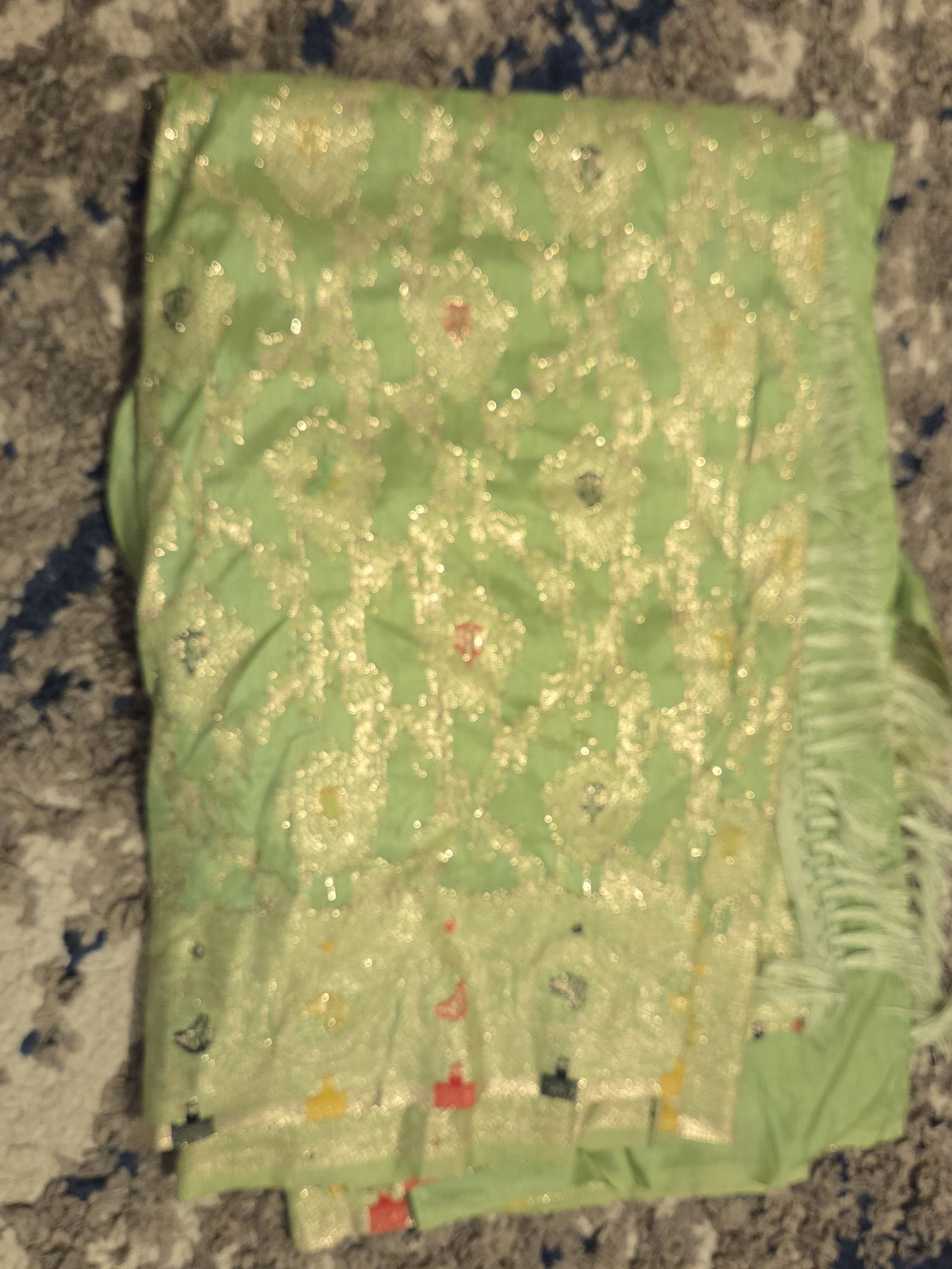 Light Green Embroidered Indian Sari